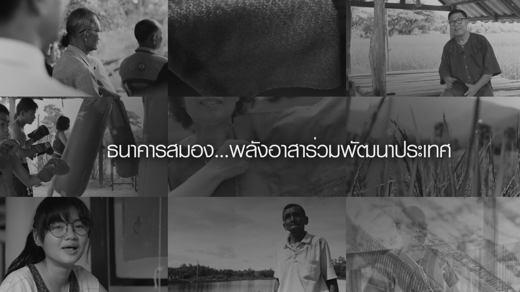 15 ปี ธนาคารสมอง ธนาคารแห่งภูมิปัญญา